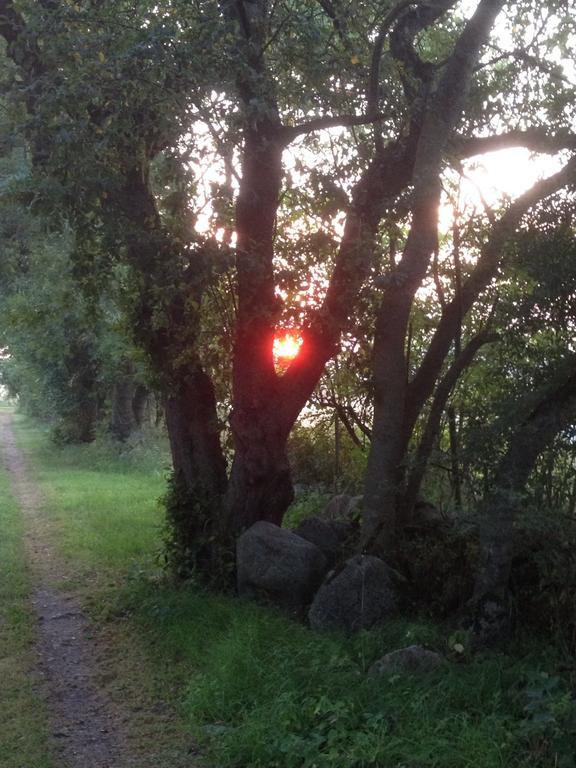 Paradiset Oestra Oeland Nedra Sandby Eksteriør billede